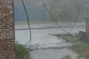 Dahan Pohon Patah Sebabkan Kabel Listrik Putus saat Hujan di Medan