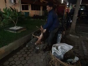 Tergiur Rp30 Ribu untuk Buang Babi, Liker Malah Ditangkap Polisi