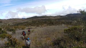 Kisah Pendakian Panjang Sangkala ke Gunung Leuser, Tanpa Pemandu Hingga Logistik Hilang