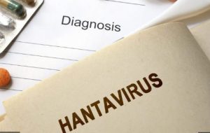 Hantavirus, Virus Baru Gejalanya Mirip Covid-19 dan Berasal dari China