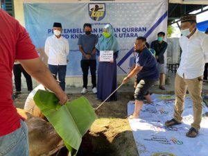 KNPI Sumut Sembelih Hewan Kurban Gubsu dan Walikota Medan