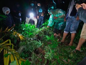 Suami Menghilang, Istri Tewas di Kebun Karet