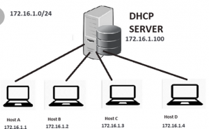 Pengertian DHCP, Fungsi, Hingga Cara Kerjanya