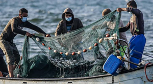 Mulai Agustus, Pemerintah Tetapkan Kuota Menangkap Ikan