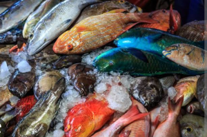 Cara Memilih Ikan Segar di Pasar