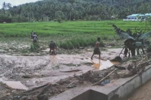 Banjir di Tapsel Hantam Persawahan, Petani Merugi