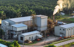 Ekonomi Sumut Waspada, Kenaikan Tarif Mulai Ganggu Industri Sawit