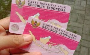 Apa Itu KTP Pink, Untuk Siapa dan Apa Fungsinya