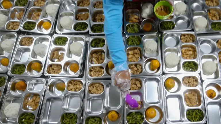 Presiden Prabowo Ultah, Serempak Menu MBG Nasi Goreng Telur Ceplok