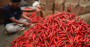 Inflasi Sumut Masih Tertinggi se-Indonesia, Ini Kata Pengamat Ekonomi