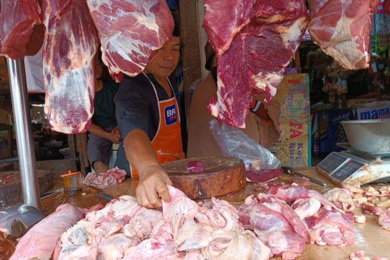 Dampak MBG, Konsumsi Daging Sapi Sumut Melonjak