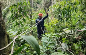 Terdampak Banjir, PLN Icon Plus Percepat Pemulihan Telekomunikasi Kelistrikan di Taput dan Tapsel