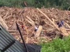 Soal Kayu Gelondongan di Banjir Sibolga, Ini Kata Bobby Nasution