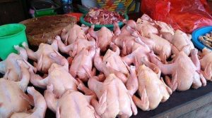 Harga Daging Ayam Naik, Diproyeksikan Tidak Akan Bertahan Lama