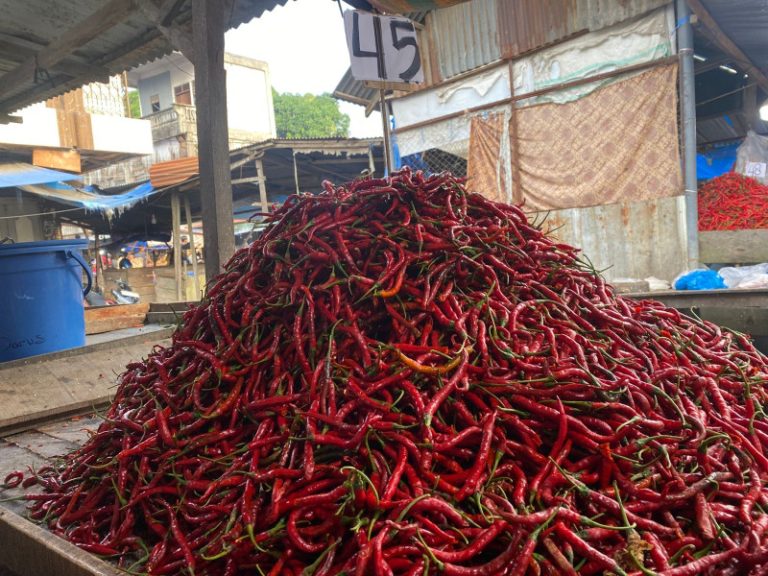 Jalur Distribusi Berangsur Pulih Setelah Bencana, Harga Cabai Turun Tajam